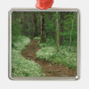 Search for great smoky mountains christmas tree decorations Forest