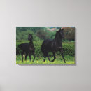 Search for thoroughbred canvas prints Bob langrish