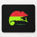 Search for chameleon electronics Madagascar