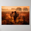 Search for wild horse posters Beautiful