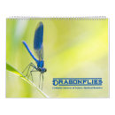 Search for dragonfly calendars Wings