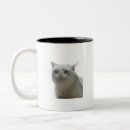 Search for memes mugs Cat
