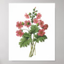 Search for primroses posters Fruit