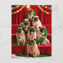 Search for funny pug invitations Pugs