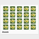 Search for yellow daffodil stickers Nature