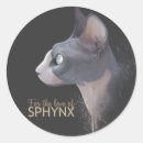 Search for sphynx stickers Illustration