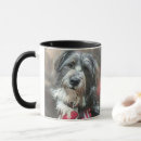 Search for scruffy mugs Animal