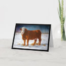 Search for cow herd cards Beef