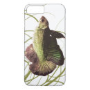 Search for fighting iphone cases Betta splendens