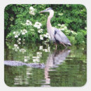 Search for great blue heron stickers Animal