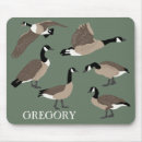Search for geese electronics Canadian goose