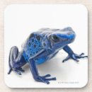 Search for dart coasters Reptiles