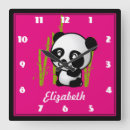 Search for panda clocks Bear