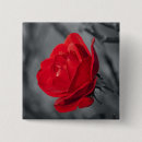 Search for red rose square badges Romance