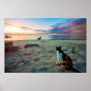 Search for pictures of seashells posters Waves