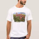 Search for ditto tshirts Landscape