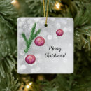 Search for branch christmas tree decorations Watercolor
