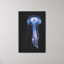Search for marine biology posters Jellyfish