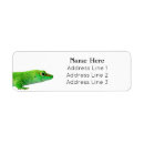 Search for gecko return address labels Reptile