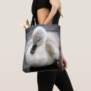 Search for swan bags Photography