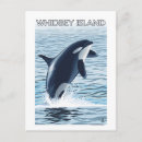 Search for whidbey postcards Orca
