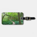 Search for old growth forest accessories National park