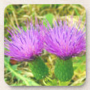 Search for thistle coasters Purple