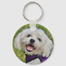 Search for maltese key rings Animal
