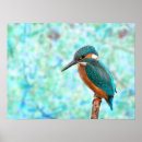 Search for kingfish art Blue