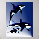 Search for whale posters Killer