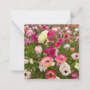 Search for blossom vertical note cards Flowers