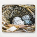Search for egg mousepads Nature