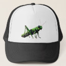 Search for insect hats Grasshopper