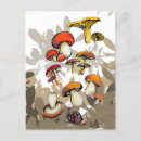 Search for wild mushrooms postcards Autumn