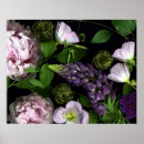 Search for pick art Floral