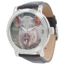 Search for sows accessories Pig