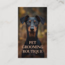 Search for behaviour business cards Pet care