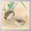 Search for quail Farm