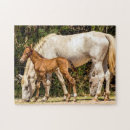 Search for mustang puzzles Horses