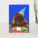 Search for ruby cavalier king charles spaniel Birthday