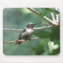 Search for ruby throated hummingbird mousepads Hummingbirds