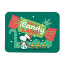 Search for winter rectangular magnets Woodstock