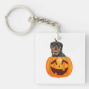 Search for rottweiler accessories Cute
