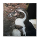 Search for penguin tiles Bird