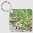 Search for birdwatchers key rings Birdwatching
