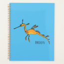 Search for weedy Weedy seadragon