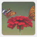 Search for selected stickers Nature