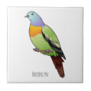 Search for pigeon tiles Dove