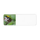 Search for side return address labels Nature