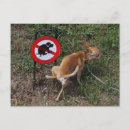 Search for prohibition postcards Prohibited